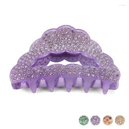 Hair Clips Arrival Spark Rhinestones Claw For Women Girls Fine Accessory Ornament Jewellery - Tiara Holder Bridal