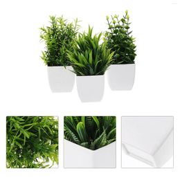 Decorative Flowers 3 Pcs Simulated Potted Plant Fake Bonsai Mini Artificial Plants Faux Indoor Pp Imitation Ornaments Office