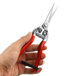 Pruning Tools Stainless Steel Scissors Gardening Household Fruit Picking Grape Garden Branch 231215