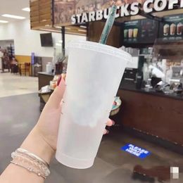 Tumblers Straw Cup Drink Change Colour Mugs With Lid Plastic Tumbler Matte Coffe Bottle Food Grade PP