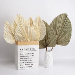 Decorative Flowers Wreaths Natural Dried Palm Leaves Tropical Dried Palm Fans Boho Dry Leaves Decor For Home Kitchen Wedding Bouquet Fleure Sechee 231214