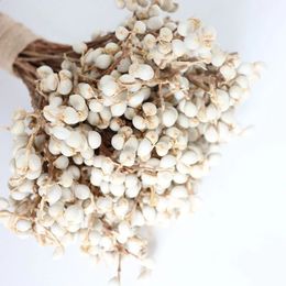 Decorative Flowers Wreaths 20pcs Natural Cotton Balls Dired Flower Plants Dry Real White Fruit Bunch Party Decorative Flowers Diy Wedding Home Decoration 231214