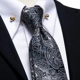 Neck Ties HiTie Luxury Necktie Black Men's Tie Glod Collar Pin Paisley Handky Cufflinks Set For Men Wedding High Quality 231214