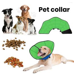 Dog Collars Post-operative Cat Cone Collar For Rapid Recovery Soft Comfortable Pet Dogs Post-