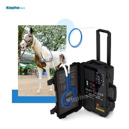 PMST Loop Horse Dog Magnetic Therapy For Muscle Injury And Rehabilitation Machine