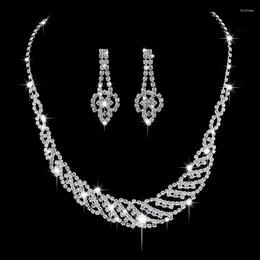 Necklace Earrings Set Foreign Trade Jewellery Wholesale Wedding Pography Accessories Fashion OL Irregular 461