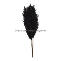 Decorative Flowers Wreaths 1Pc Black Dried Bouquets Plant Stems Reed Real Flower Pampas Wedding Craft Shooting Grass Decor Natural Dhmfh