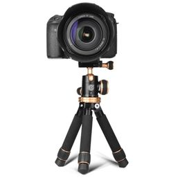 Holders Q166Z 30cm Travel Lightweight Tripod Portable Compact Macro Mini Tabletop Tripod with Ball Head for Canon Nikon Sony DSLR Camera