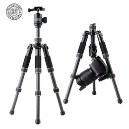 Accessories QZSD Q166C Mini Professional Carbon Fibre Camera Tripod Extendable Travel Video Tripod with Ball Head and Quick Release Plate