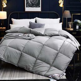 Comforters sets Bread Soft Goose Down Comforter Duvet Winter Autumn Blankets Feather Bed Quilted Quilt Blanket Single Full Double King Size 231215