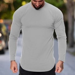 Men's T Shirts Solid Colour Shirt Mens Sports Fitness Fashion Outdoor Curved Hem Casual Long Sleeve Round Neck Tee Harajuku Hip-Hop