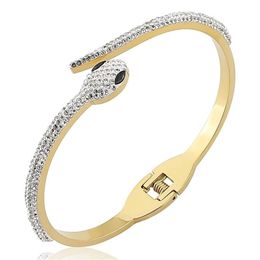 Stainless Steel Jewellery Crystal Cute Snake Bracelets Head Opening Bangle For Women's Love Gifts Whole 211007224s