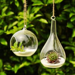 wall hanging glass terrariums planter oblate flower vase terrariums glass globe air plant pot holder for Home Christmas Decoration Gift Idea