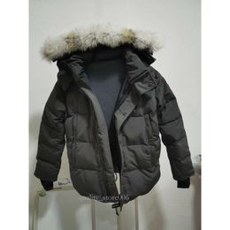 Top Brand Big Wolf Fur Mens Down Parka Winter Jacket Arctic Navy Black Green Red Outdoor Hoodies Doudoune Manteau Coats