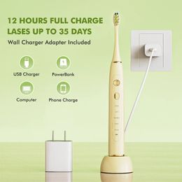 Toothbrush Electric Toothbrush Ultrasonic IPX7 Waterproof Smart Toothbrush Teeth Whitening Electric Sonic Toothbrush SARMOCARE S700PRO 231215