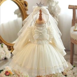 Girl's Dresses Baby Girl Princess Tutu Bow Dress Long Sleeve Fleece Inside Infant Vestido Lolita Baptism Party Birthday Xmas Clothes 0 7Y 231216