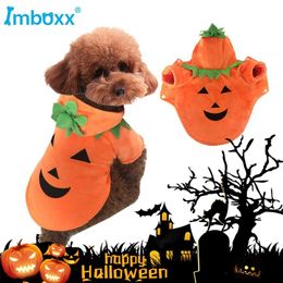 T-shirt Pet Dog Costume Clothes Puppy Halloween Carnival Cat Dog Clothes Pet Outfit Four Season Fleece Jacket for Small Medium Large Dog