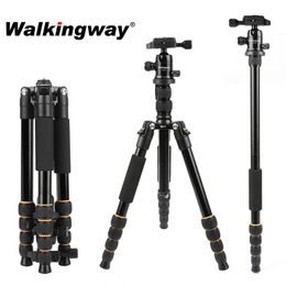 Accessories Walkingway Aluminium Protable Q666 Professional Travel Camera Tripod Monopod Ball Head Phone Holder for DSLR Smartphone Video