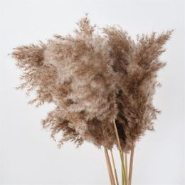 Decorative Flowers & Wreaths Centre Piece Decor Natural Dried Reed Plants Wedding Flower Bunch Pampas Tableau Grass Decoration Phr205S