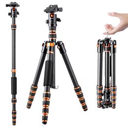 Accessories K F Concept Carbon Fibre Camera Tripod for DSLR Portable Lightweight Portable Travel Tripod with 360 Degree Panorama Ball Head