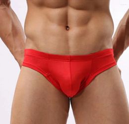 Underpants Special Offer Men's Underwear Small Flat Corner Pants Low Waisted Sexy U-shaped Design