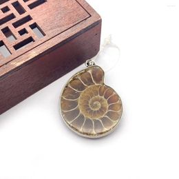 Pendant Necklaces Natural Shell Conch Snail Shape Hemming Craft Brown DIY Jewelry Making Creative Gift Necklace Accessories