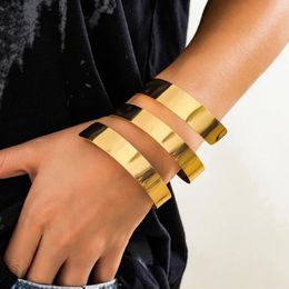 Bangle Punk Style Hollow Geometric Spiral Smooth Wide Open Bracelets For Women European American Vintage Bangles Girl Jewellery Accessory