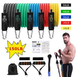 Resistance Bands Exercise with Door Anchor Legs Ankle Straps for Training Physical Therapy Home Workouts Set 231216