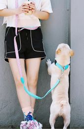 Dog Collars Leashes Soft Dog Multifunctional Adjustable Leash Running Hands Free Elastic Reflective Training Pet Bungee Jumping Dog Leash 231216