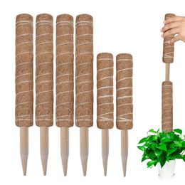 Planters Pots 1PC 304050cm Moss Pole for Indoor Climbing Plants Creepers to Grow Upwards Plant Support with Garden Ties 231216