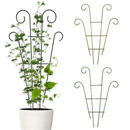 Planters Pots Matal Plant Climbing Trellis Support Stands Indoor Rose Vine Stakes Garden Potted Iron Fixed Rod Rack Cages Accessories 231216