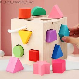 Sorting Nesting Stacking toys 13 Holes Wooden Color And Shape Matching Building Block Kids Montessori Early Educational Stacked Game Toys Baby Gift Q231218