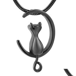 Pendant Necklaces Ijd10014 Funnel Gift Box Black Cat Necklace Memorial Urn Locket For Animal Ashes Holder Keepsake Jewelry Stainless Dhqpc