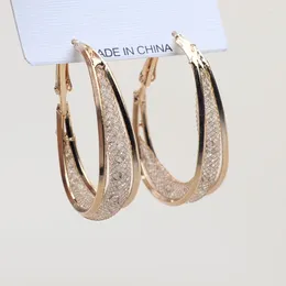 Hoop Earrings Mesh Crystal Net For Women European Statement Jewelry Rose Golden Color Round Circle Geometry Dangle