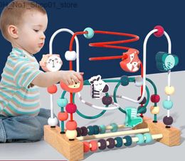 Sorting Nesting Stacking toys Montessori Maze Circles Around Beads Abacus Math Puzzle Early Learning Educational Wooden Toys For Children Kids Q231218