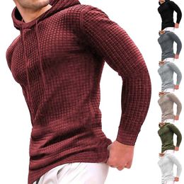 Men's Hoodies Fall Winter Long Sleeve Hoodie Plaid Hooded Sweatshirt Top Outdoor Mens Lightweight Pullover