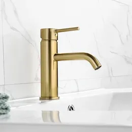 Bathroom Sink Faucets Basin Faucet Brushed Gold/ Nickel Stainless Steel Single Handle Cold Water Mixer Taps Torneira