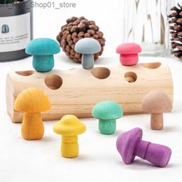 Sorting Nesting Stacking toys Montessori Toys for 1 2 3 Years Boy Girl Baby Colour Shape Sorting Matching Puzzle Game Kids Wooden Educational Toys For Children Q231218