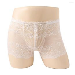 Underpants Sexy Transparent Lace Panties Men Underwear Lingerie Boxers Pouch Boxer Briefs Shorts And