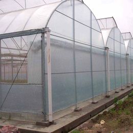 wholesale PE transparent agricultural film polyethylene plastic sheeting packaging engineering rain cover goods greenhouse film