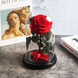 Decorative Flowers Wreaths Beauty And The Beast Red Rose In A Glass Dome On Rose Living Room Bedroom Table Decorations Valentines Day Gifts Birthday Gifts 231218