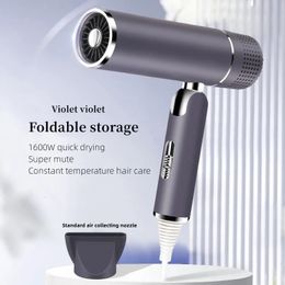 Hair Dryers Professional Hair Dryer 1600w High-power Fast Drying Negative Ion Foldable Portable Household Hair Salon T-type Hair Dryer 231216