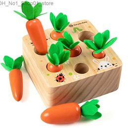 Sorting Nesting Stacking toys Montessori Toys for 1 Year Baby Pull Carrot Set Game Kids Wooden Toy Shape Matching Puzzle Educational Children Q231218