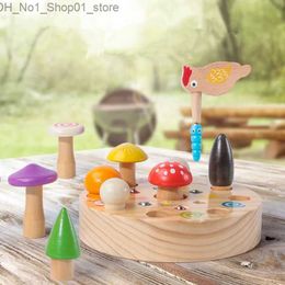 Sorting Nesting Stacking toys Wooden Montessori Toys for Toddlers Magnetic Game Child Educational Learning Fine Motor Skills Toy 2 3 Years Girls Boys Q231218