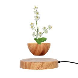 hotsale promotion decoration magnetic levitation spinning floating plant air bonsai flowerpot tree