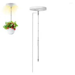 Grow Lights Plant Light LED Indoor Full Spectrum Lamp With 4 Level Brightness Auto On/Off Timer Growing Lamps For Plants