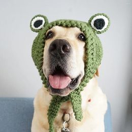 Dog Apparel Big Hand-knitted Wool Hat Funny Frog Headwear Golden Retriever Pet Accessories