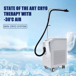 New arrivals Laser cool system device cold air cooling machine for diode laser hair/tattoo removal cooler skin cooling