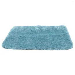 Bath Mats Rug Mat For Tub Rugs Bedroom Aesthetic Login Bathroom Water Absorption Shower Floor