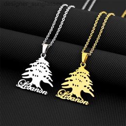 Pendant Necklaces Fashion Lebanon M Pendants Necklaces For Women Men Gold Color/Silver Colour Stainless Steel Party Birtay Jewellery GiftsL231218